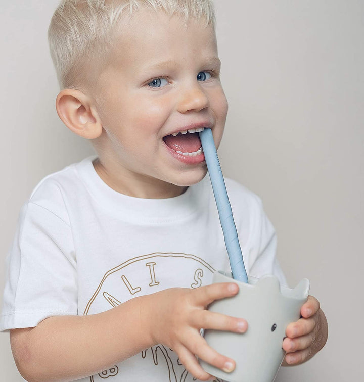 JBØRN Silicone Straws (Straight) x6 with Cleaning Brush & Pouch - Personalisable Baby Products Sold and Personalised by JustBørn